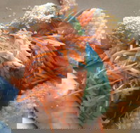 On Shore - Great Ocean Road Restaurant