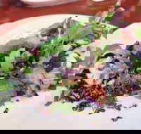 YaYa Bar and Eatery - Great Ocean Road Restaurant