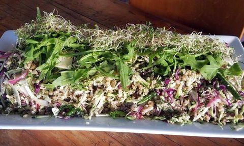 The Lithgow Tin Shed - Great Ocean Road Restaurant 4