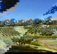Cherrytime Orchard - Great Ocean Road Restaurant