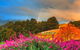 Hartzview Vineyard - thumb 2