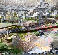 Restaurant Eighty Eight - Great Ocean Road Restaurant