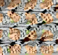 Sushi Pia - Great Ocean Road Restaurant