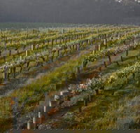 Cape Grace Wines - Great Ocean Road Restaurant