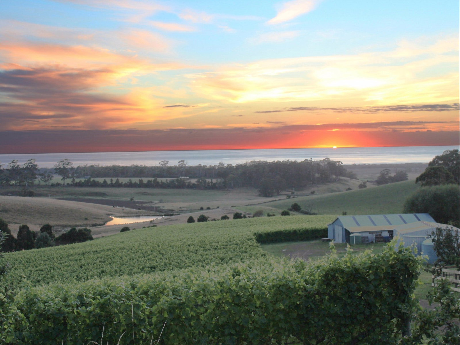 Great Ocean Road Restaurant