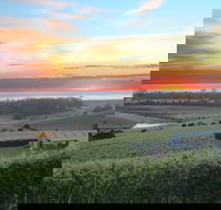 Cape Bernier Vineyard - Great Ocean Road Restaurant