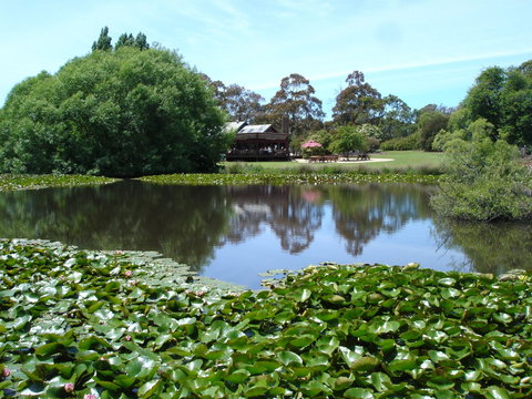 Christmas Hills Raspberry Farm Cafe - Great Ocean Road Restaurant 1