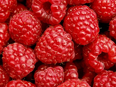 Christmas Hills Raspberry Farm Cafe - Great Ocean Road Restaurant 2