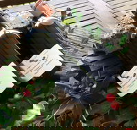 Hill of Promise Winery and Cellar Door - Great Ocean Road Restaurant