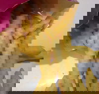 Red Rooster - Joondalup - Great Ocean Road Restaurant