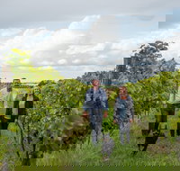 Ross Hill Wines - Great Ocean Road Restaurant