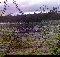 Darlington Vineyard - Great Ocean Road Restaurant
