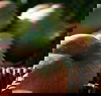 Denmark Heritage Cider Company - Great Ocean Road Restaurant