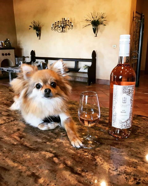 Iron Gate Estate - Great Ocean Road Restaurant 1