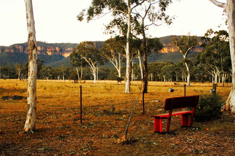 The Megalong Valley Tearooms - Great Ocean Road Restaurant 0