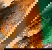 Kappaya - Great Ocean Road Restaurant