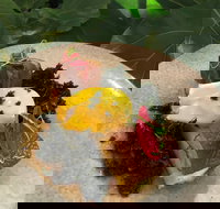 Nic and Kolo - Great Ocean Road Restaurant