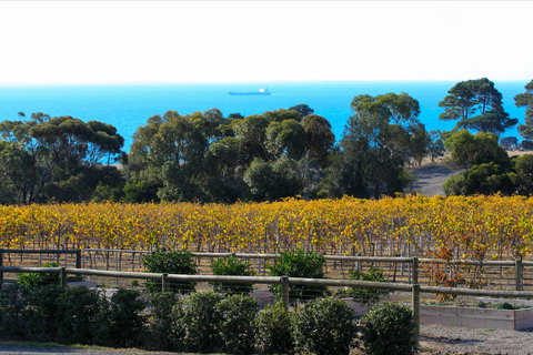Terindah Estate - Great Ocean Road Restaurant 2