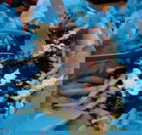 Two Hands Bar - Great Ocean Road Restaurant