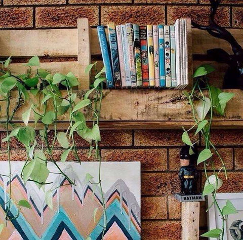 Wilderness Bar - Great Ocean Road Restaurant 0