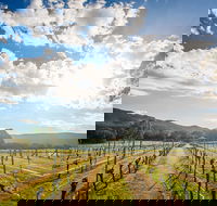 Fallen Giants Vineyard - Great Ocean Road Restaurant