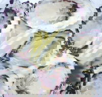 Kiwi Fish Shop - Rosebery - Great Ocean Road Restaurant