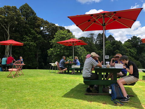 Poppies  Cafe - Great Ocean Road Restaurant 1