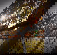 Pyramids Road Wines - Great Ocean Road Restaurant