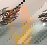 Where Ya Bean - Great Ocean Road Restaurant