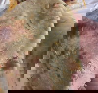 Zaika Tandoor - Great Ocean Road Restaurant