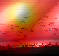 Barra Cafe on Riverview - Great Ocean Road Restaurant