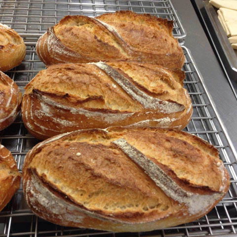 Harvest Boulangerie Patisserie - Great Ocean Road Restaurant 0