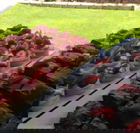 That Food Truck - Great Ocean Road Restaurant