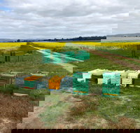 The Basin Backyard - Great Ocean Road Restaurant