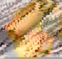 JFC - Great Ocean Road Restaurant