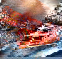 Nana Rosa's Kitchen - Great Ocean Road Restaurant