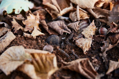 Tall Timbers Manjimup - Great Ocean Road Restaurant 2