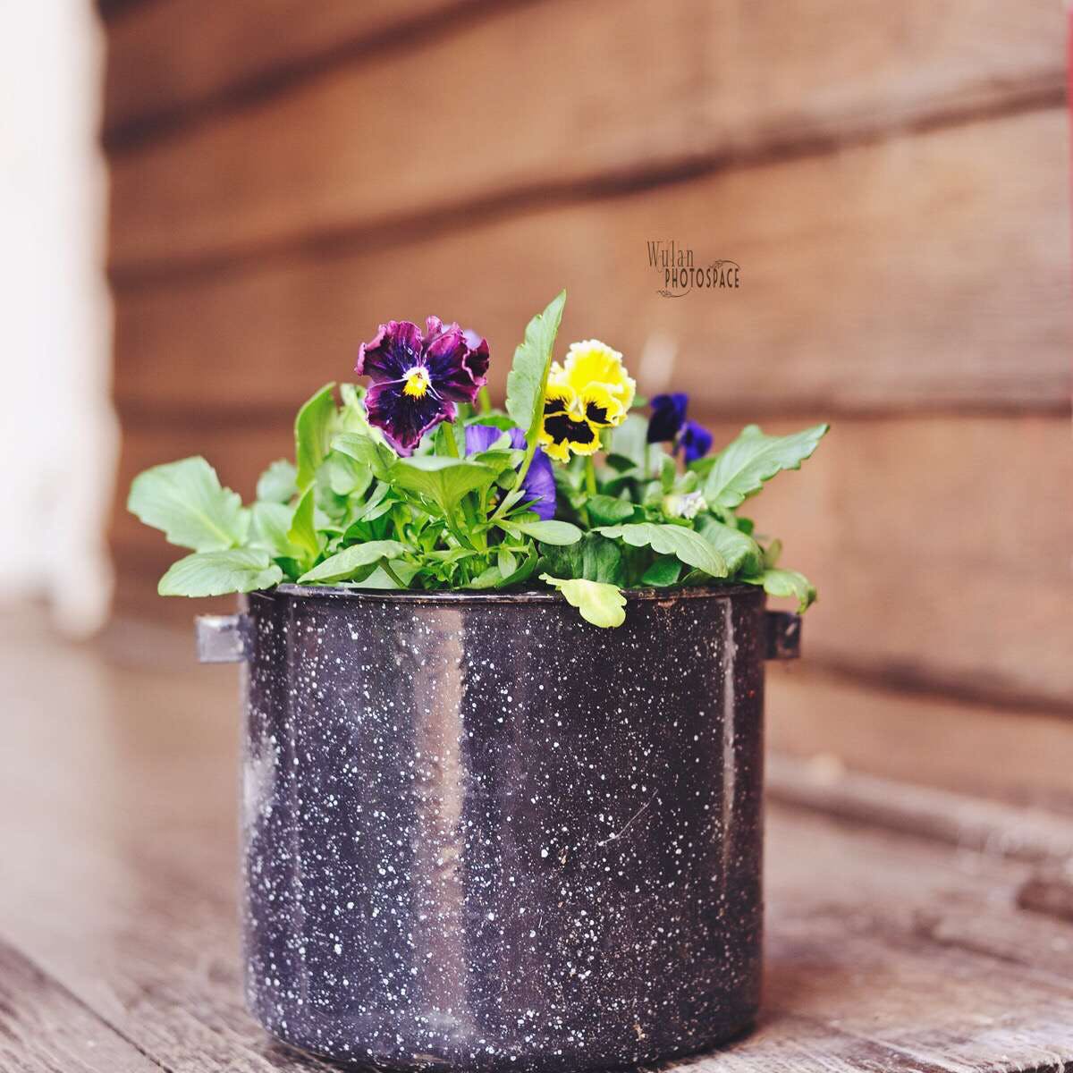 Caljie WA Great Ocean Road Restaurant