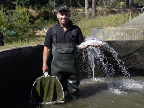 41 Degrees South Tasmania - Great Ocean Road Restaurant 0