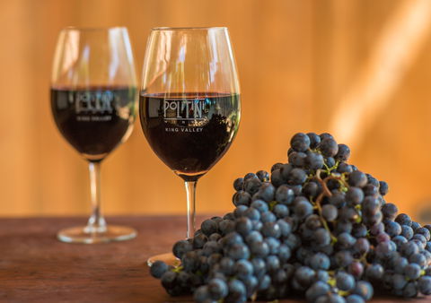 Politini Wines - Great Ocean Road Restaurant 0