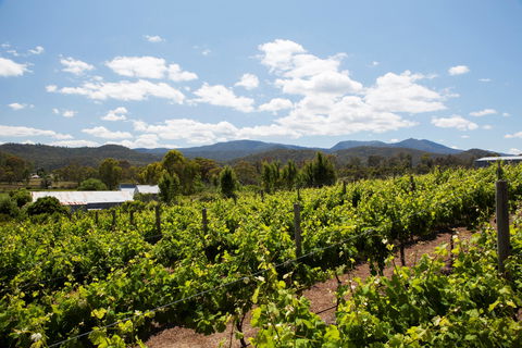 Politini Wines - Great Ocean Road Restaurant 1