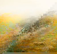 Poonawatta - Great Ocean Road Restaurant