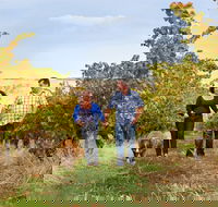 WayWood Wines - Great Ocean Road Restaurant