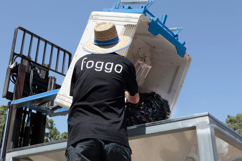Foggo Wines - Great Ocean Road Restaurant 1