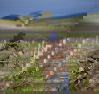 Kurtz Family Vineyards - Great Ocean Road Restaurant