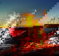 Black Dog Brewery - Great Ocean Road Restaurant