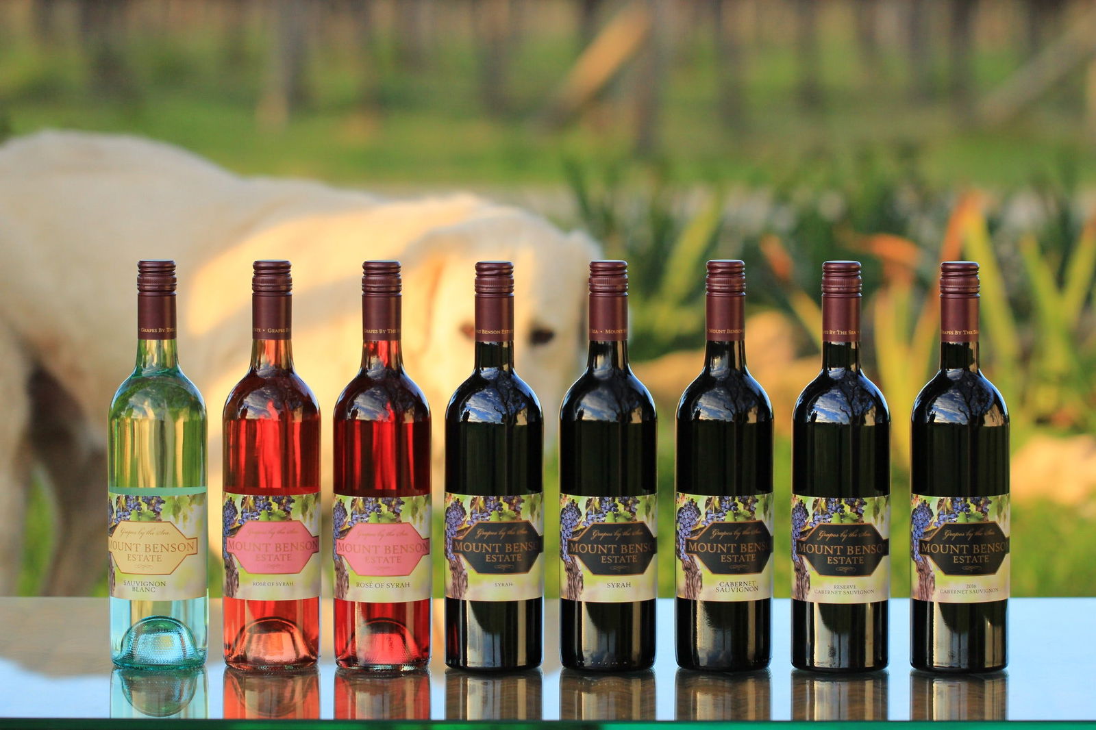 Wangolina SA Great Ocean Road Restaurant