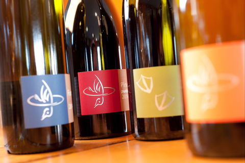Puddleduck Vineyard - Great Ocean Road Restaurant 2