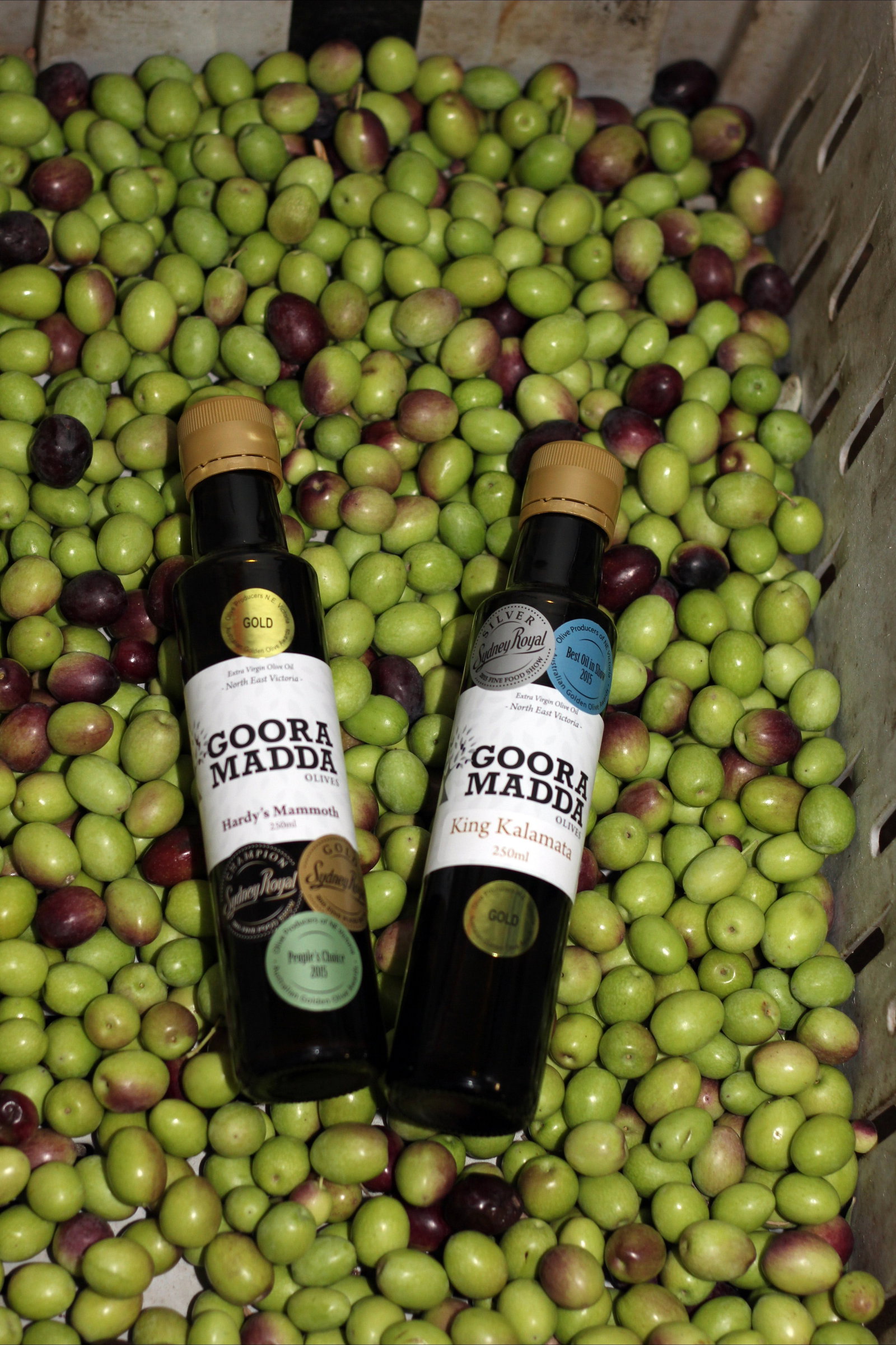 Gooramadda VIC Great Ocean Road Restaurant