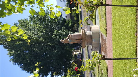 Michelini Wines - Great Ocean Road Restaurant 1